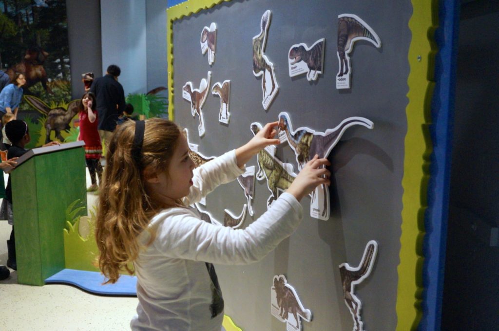 Dinosaurs in Your Backyard: A Portal to Past Worlds exhibit. The Children's Museum, West Hartford. Photo credit: Ronni Newton