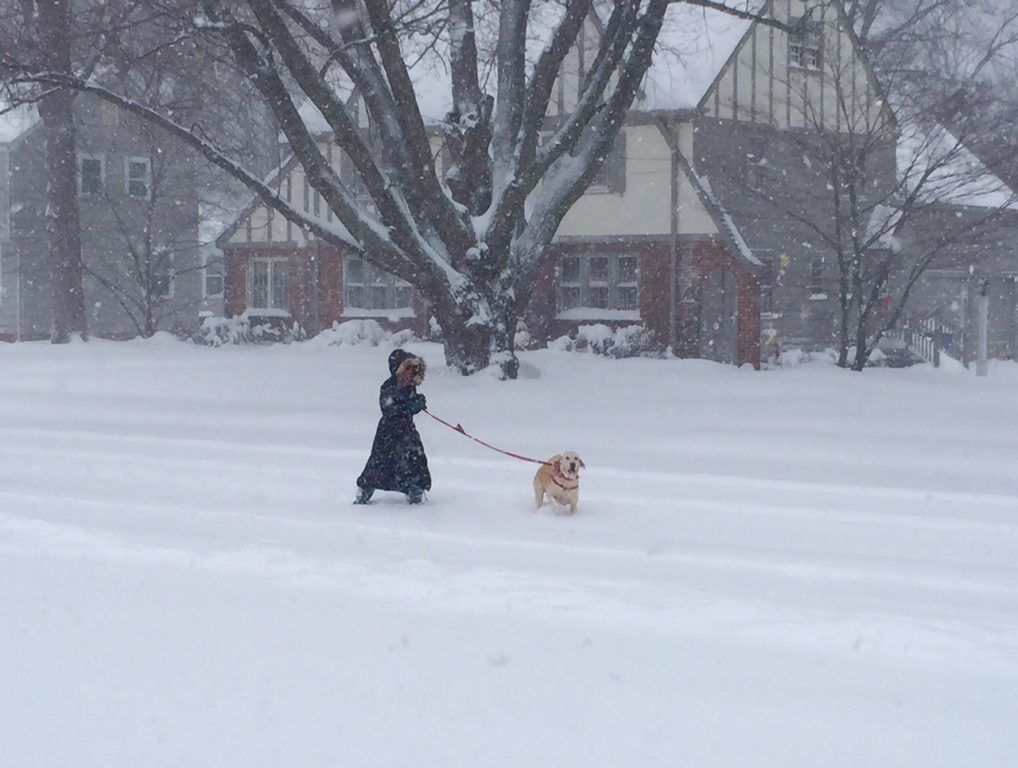 Dog walking was a challenge, even on snow shoes! Photo credit: Ronni Newton