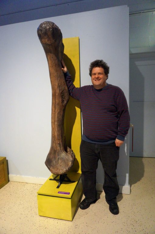 Exhibit designer Paul Orselli stands next to a cast of an apatosaurus thigh bone. Dinosaurs in Your Backyard: A Portal to Past Worlds exhibit. The Children's Museum, West Hartford. Photo credit: Ronni Newton
