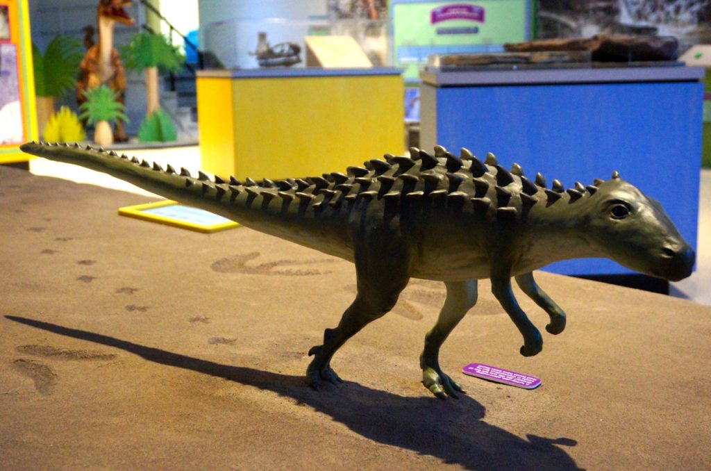 The replica of the petite Scutellosaurus is true-to-size. Dinosaurs in Your Backyard: A Portal to the Past exhibit. The Children's Museum, West Hartford. Photo credit: Ronni Newton