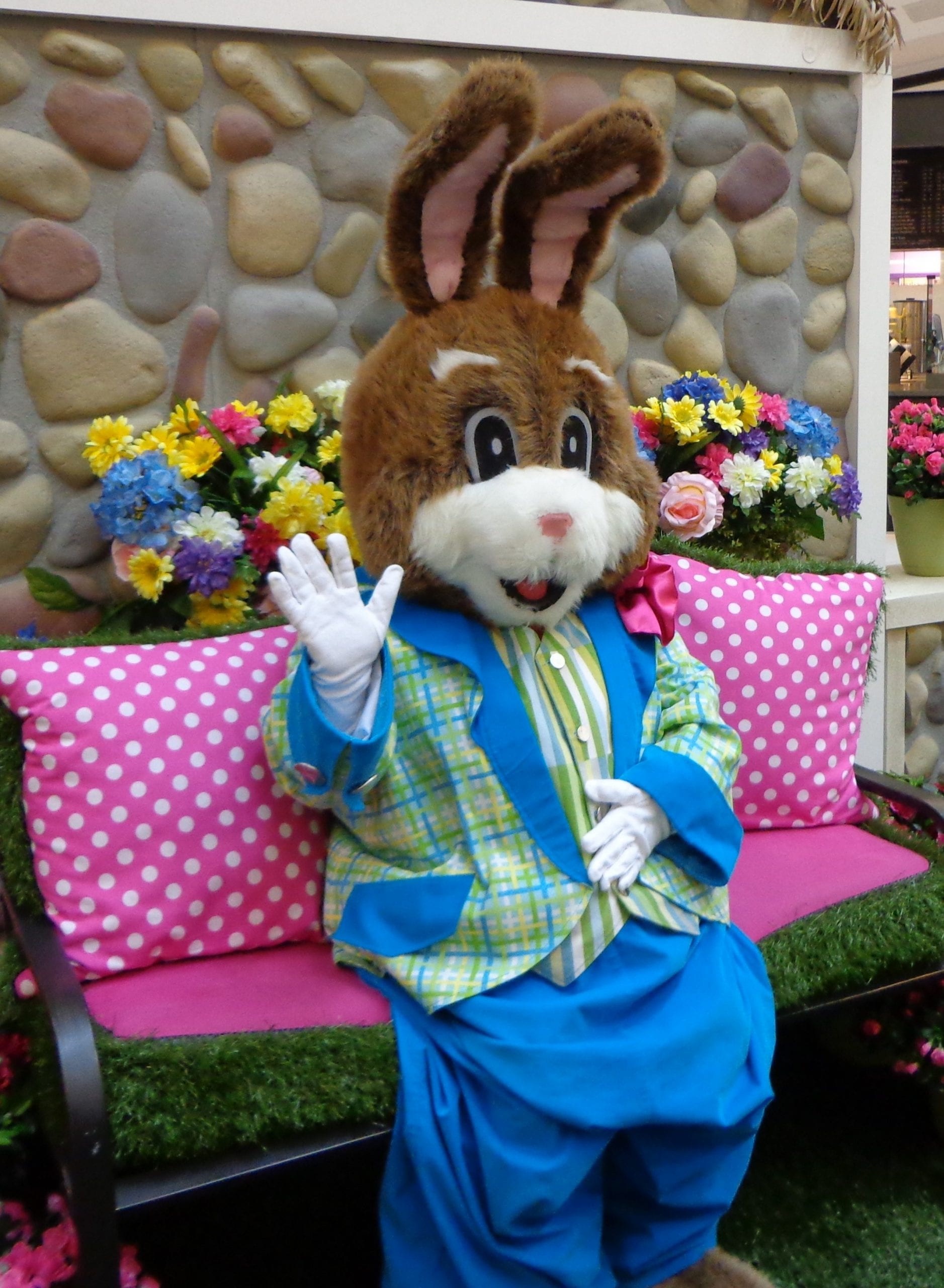 Westfarms Bunnyville