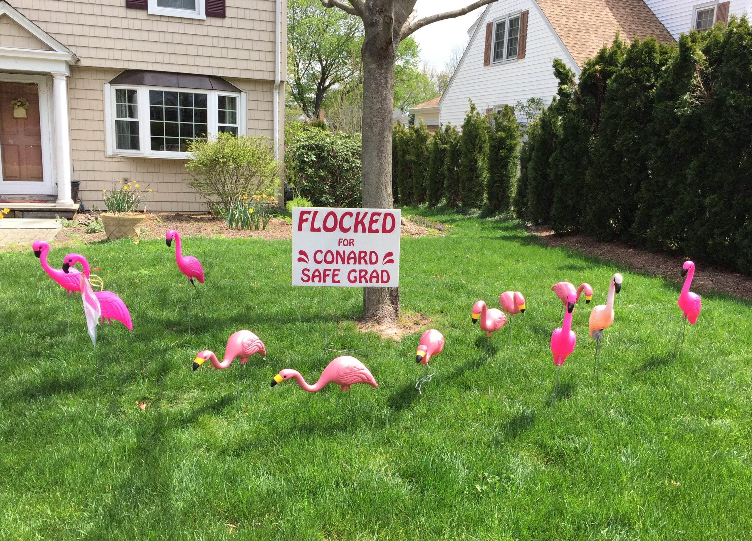 flock – conard 2016