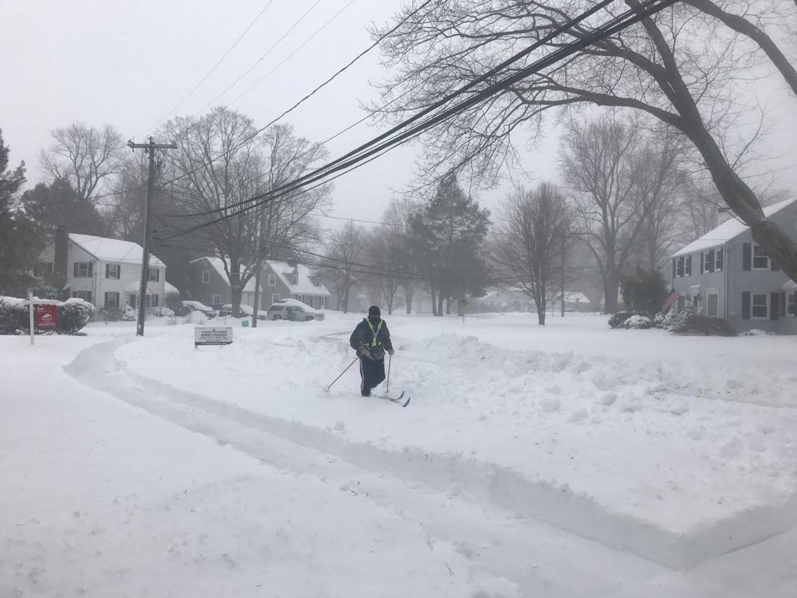 springlane-marchstorm-3skier