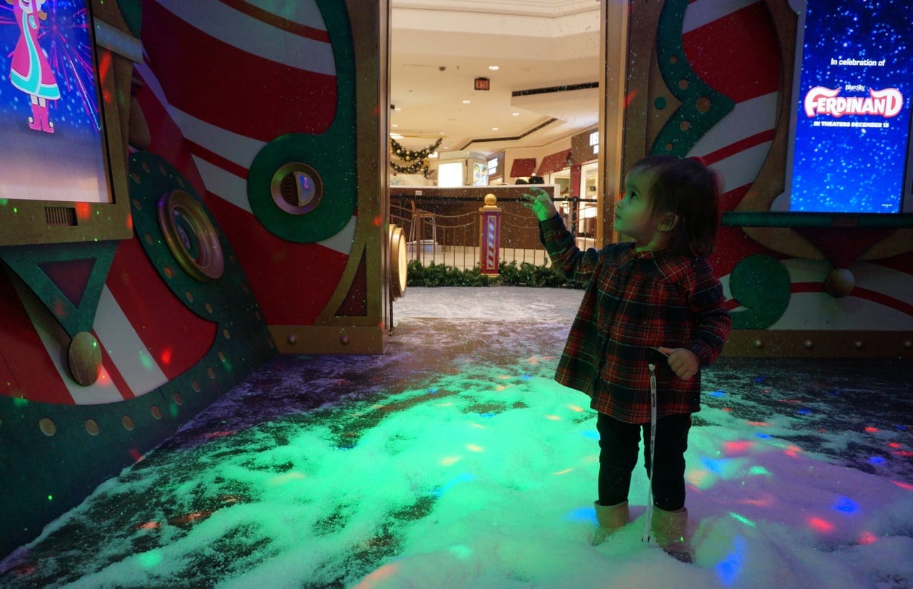 sophia from cheshire