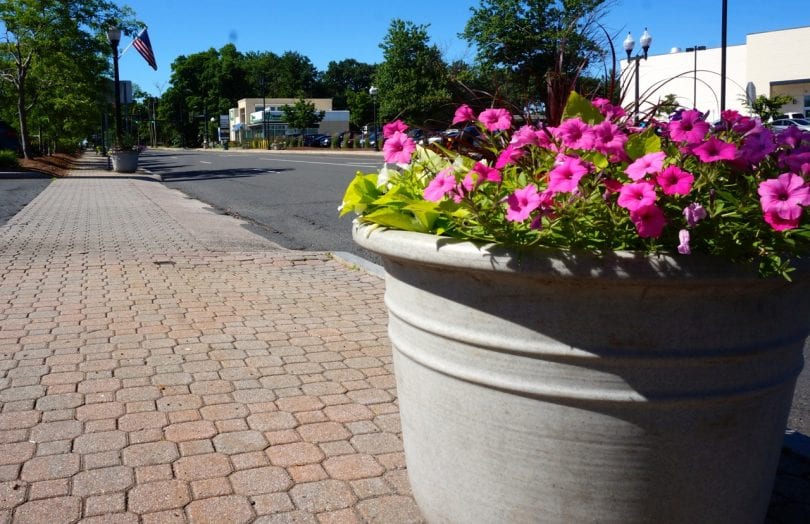 Corner Is Now in Bloom WeHa West Hartford News