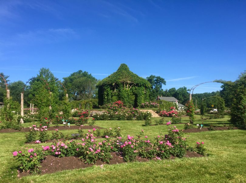 THE 5 BEST Parks & Nature Attractions in West Hartford (2023)