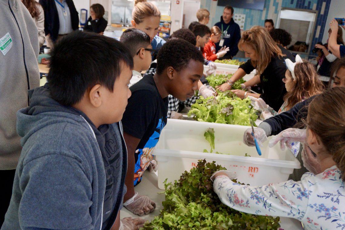 Charter Oak International Academy Students Grow and Harvest their Lunch