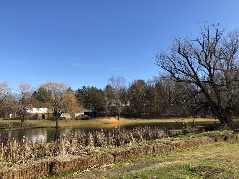 West Hartford's Cornerstone Has More Than Just Pools WeHa