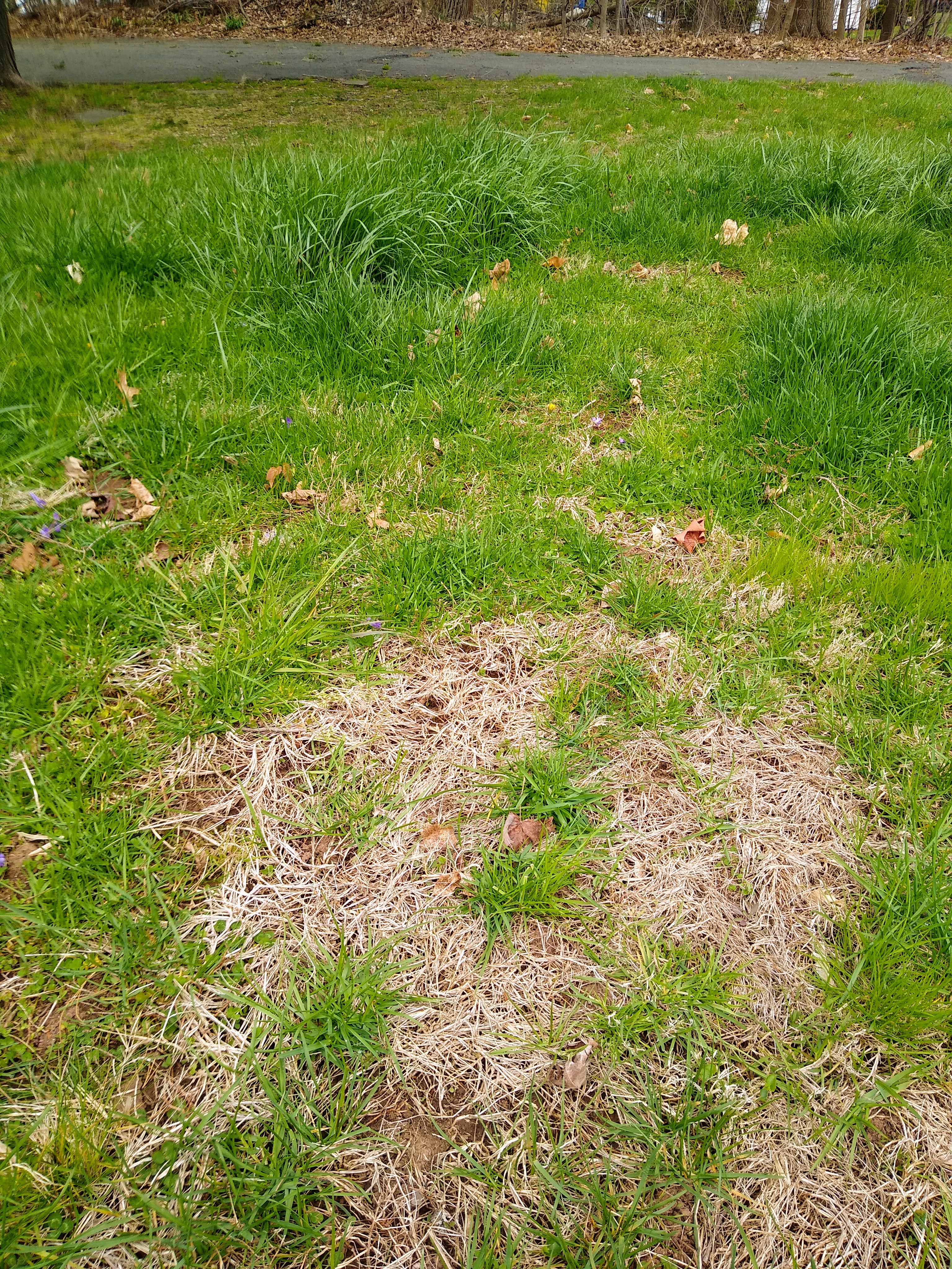 IMG_20200421_112810145