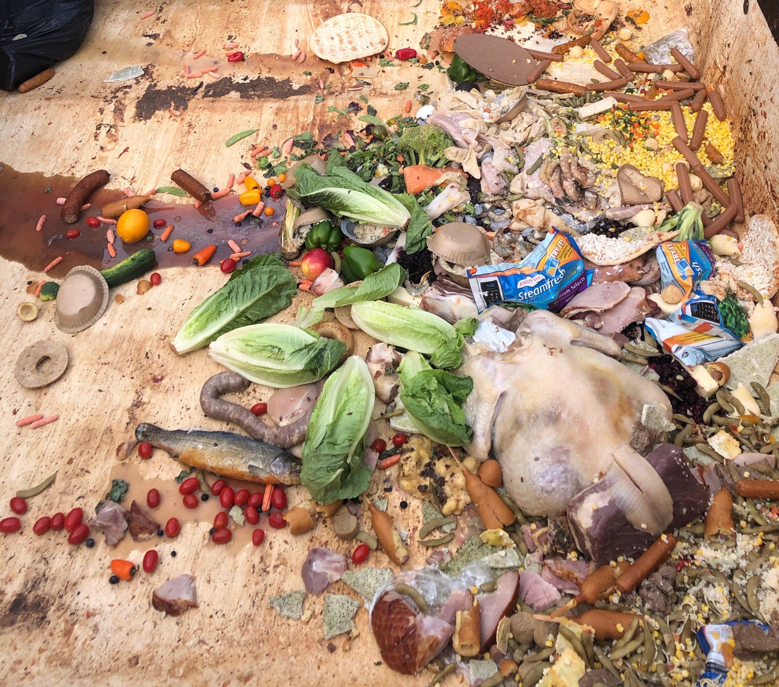 contents of food waste dumpster katherine bruns