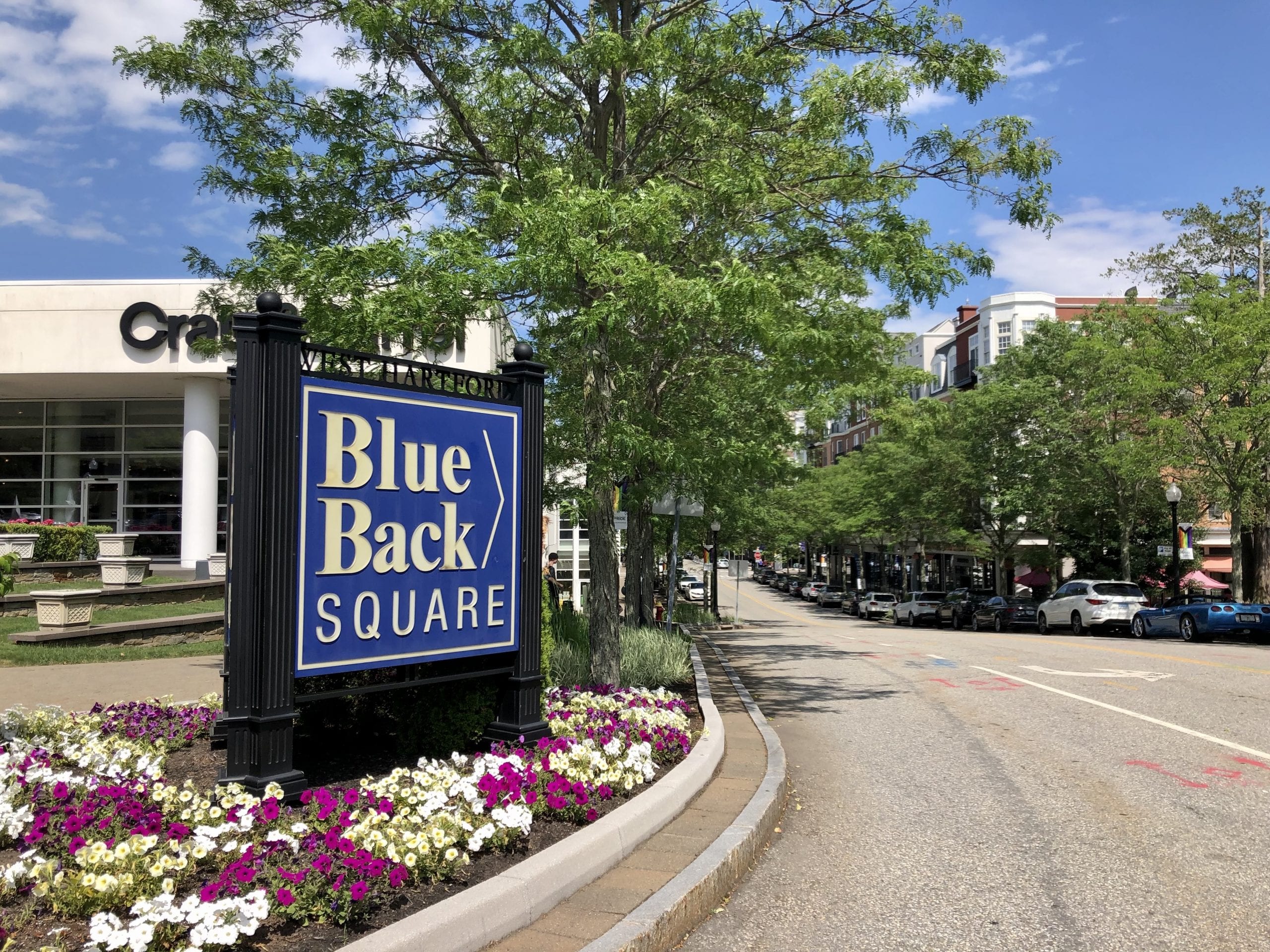 Blue Back Square