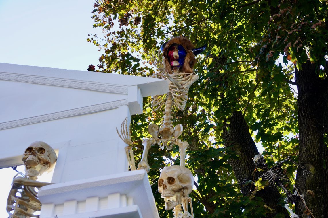 Hordes of Skeletons Stage Capitol Insurrection on Lawn of West Hartford ...