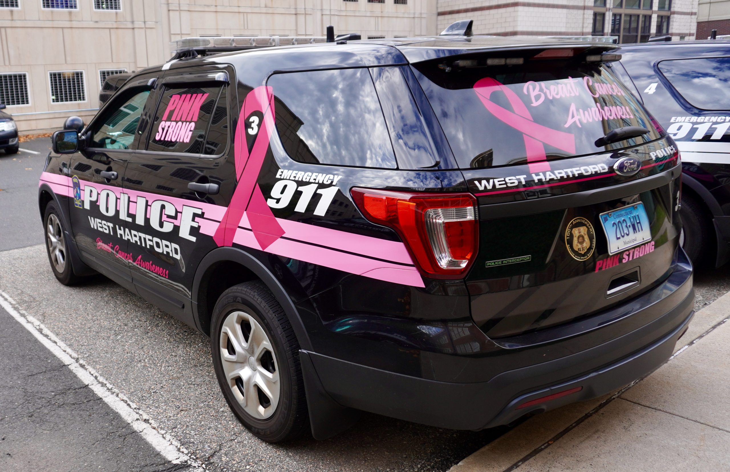 BPCC baseball 'goes pink' for breast cancer awareness