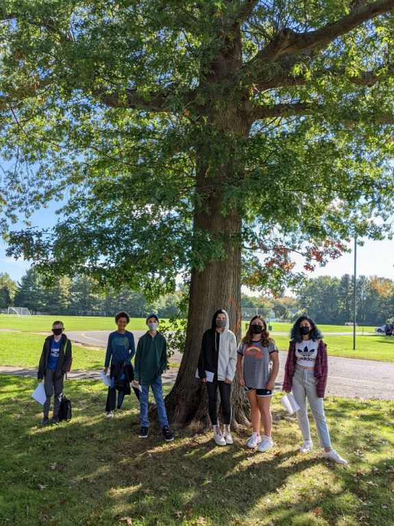 King Philip Students Advocate to Save Tree WeHa West Hartford News