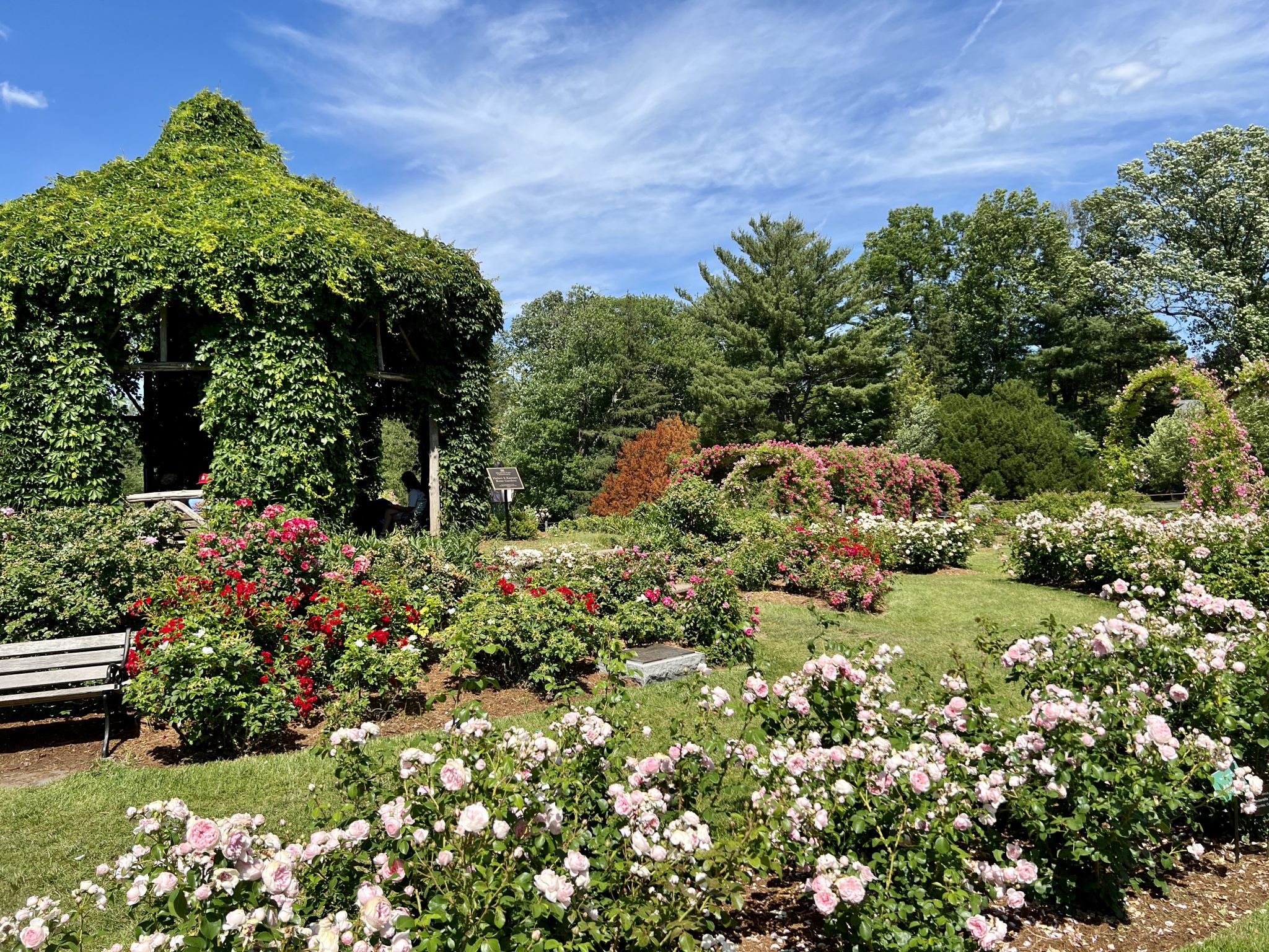 elizabeth park gazebo and roses - We-Ha | West Hartford News