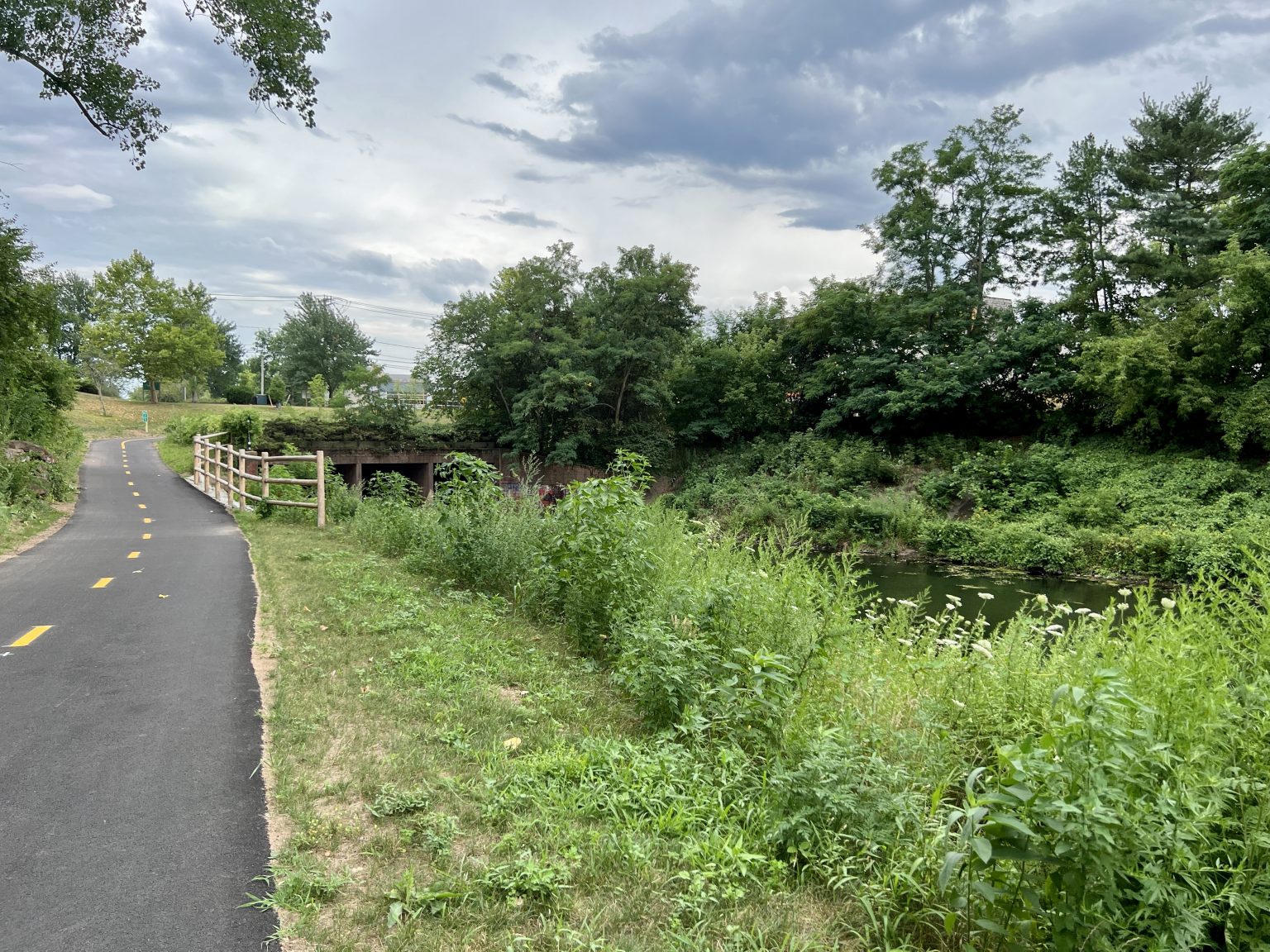 New Section of Trout Brook Trail Officially Opens WeHa West