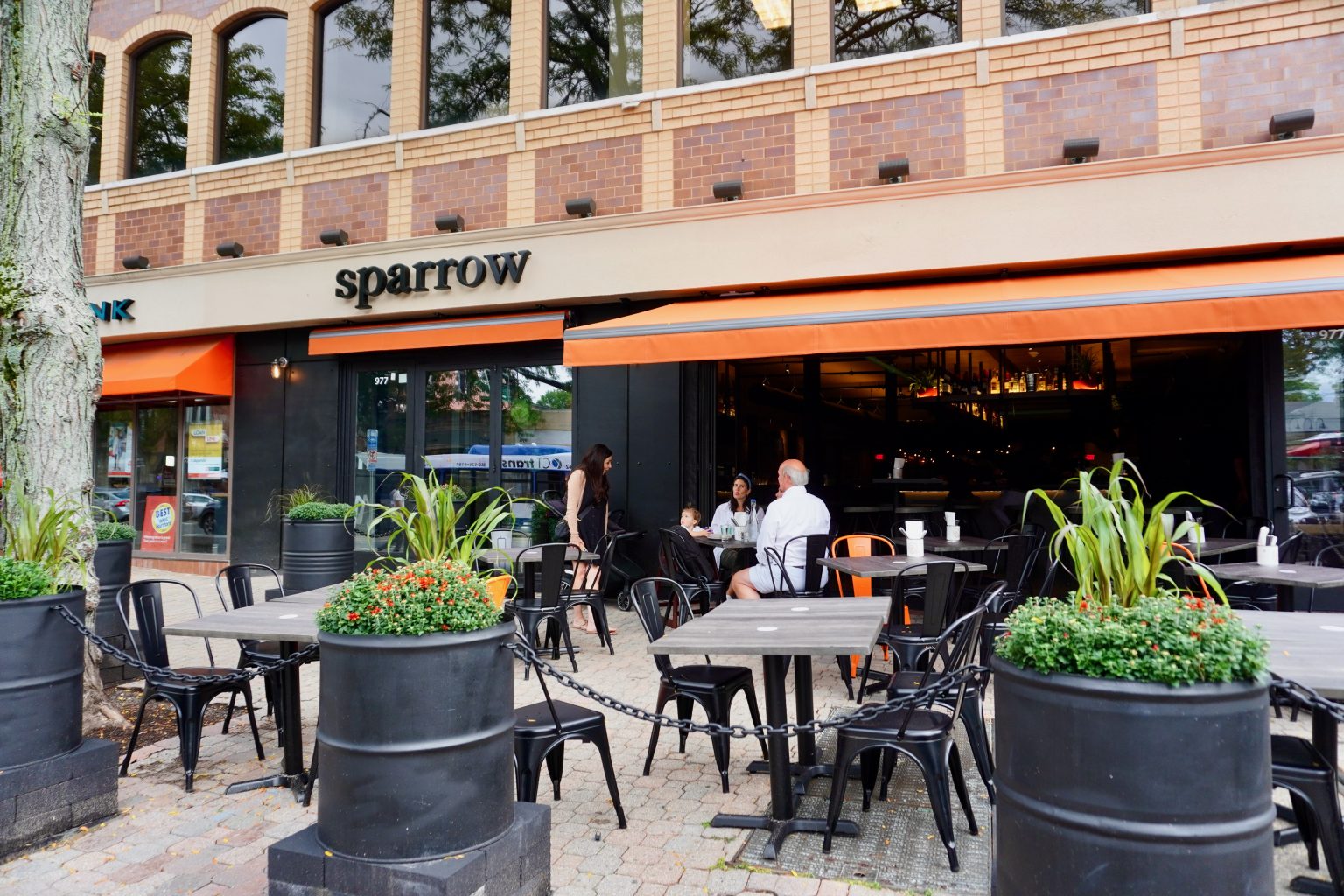 Sparrow Has Landed in West Hartford WeHa West Hartford News