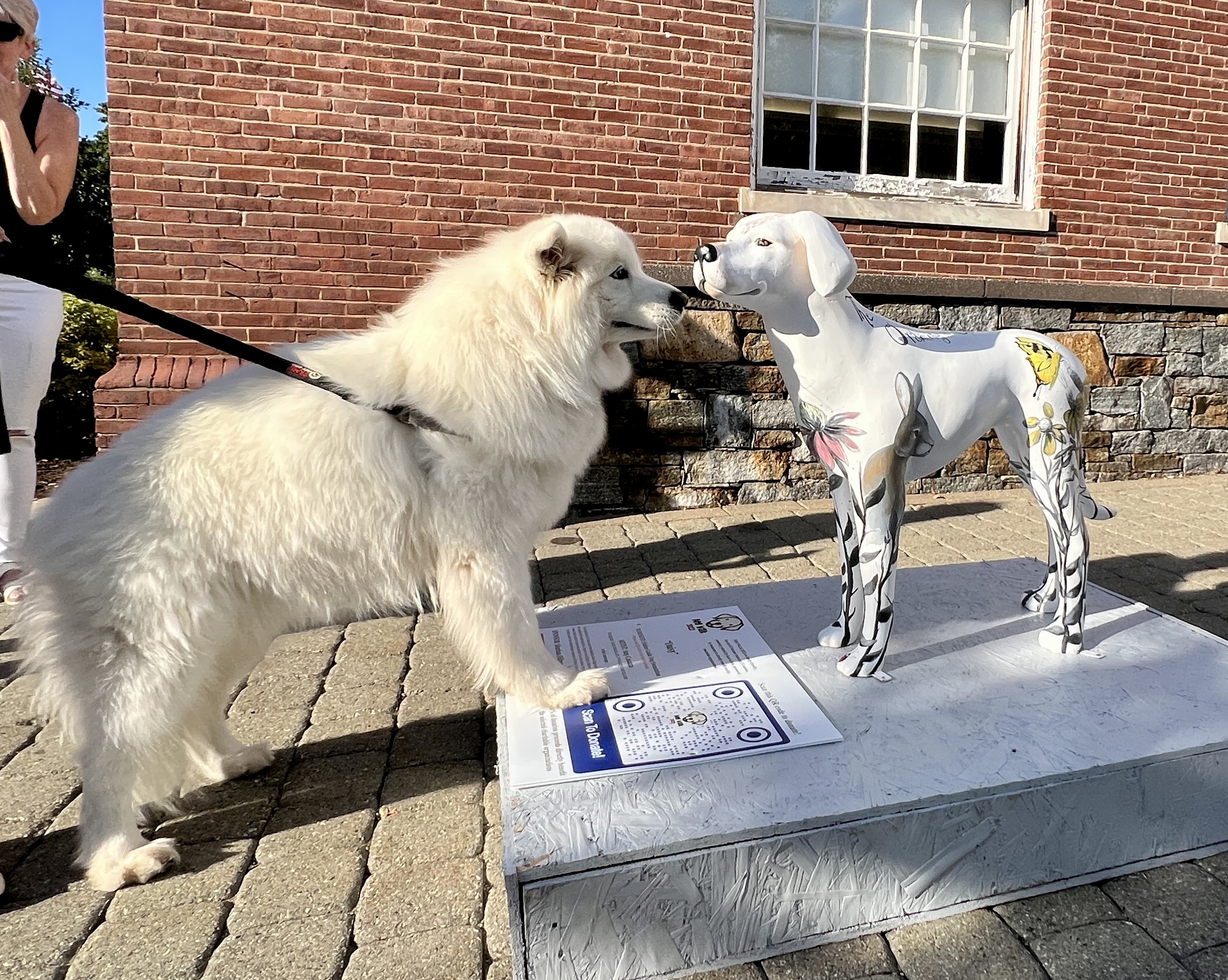 dog walk nose to nose
