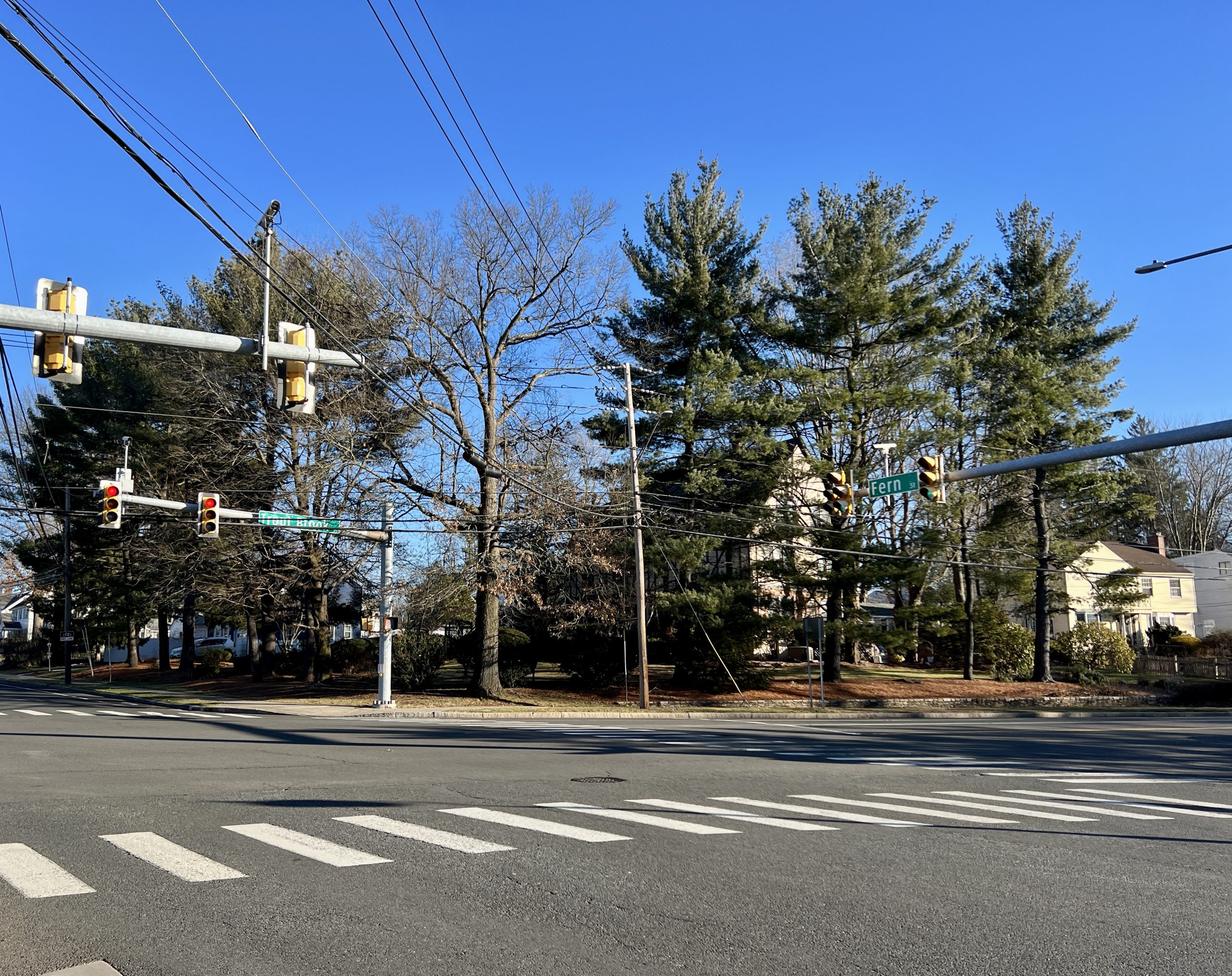 fern and trout brook intersection
