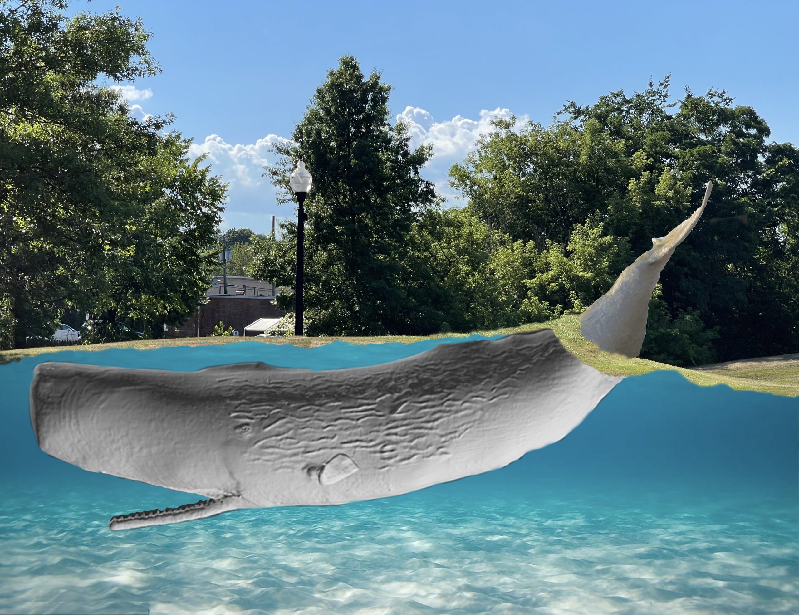 Conny Tail with imagined full whale Mar 1 2023