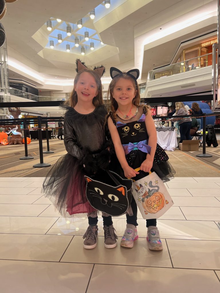 Photos More than 2,000 Attend 'MallOWeen' at Westfarms WeHa