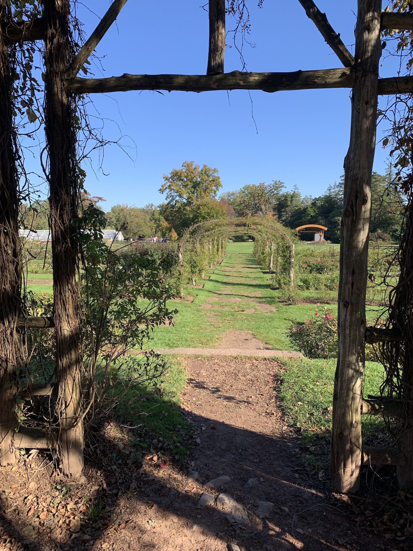 Start Line Gazebo Elizabeth Park