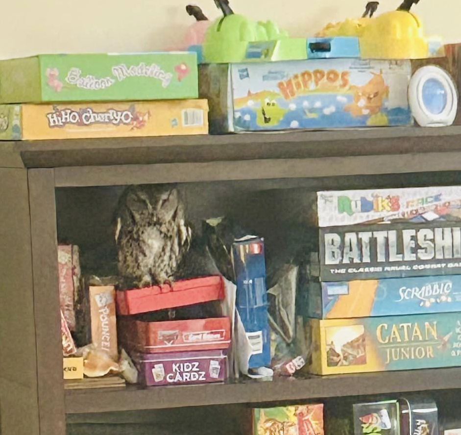 421414966_807751411392975_7986162512337638573_n