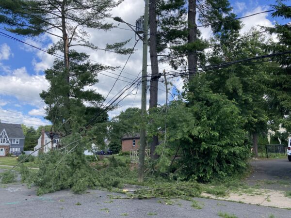 Fast-Moving but Strong Storms Knock Down Trees, Limbs, and Power in ...